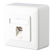BTR NETCOM Anschlußdose E-DATC6 8(8)APrws-3