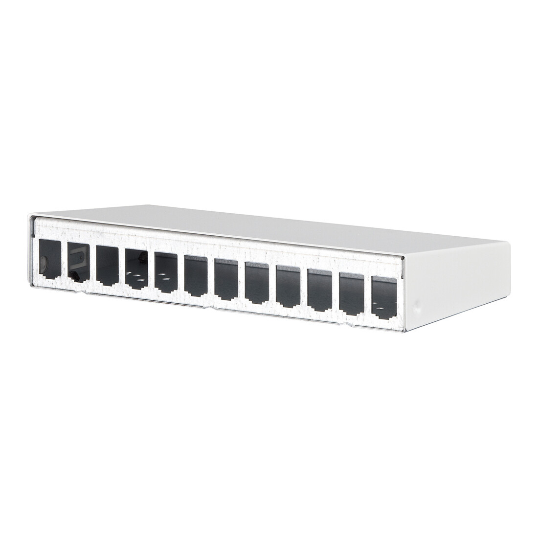 BTR NETCOM AP-Gehäuse leer E-DATmodul 12er rws 130861-1202-E