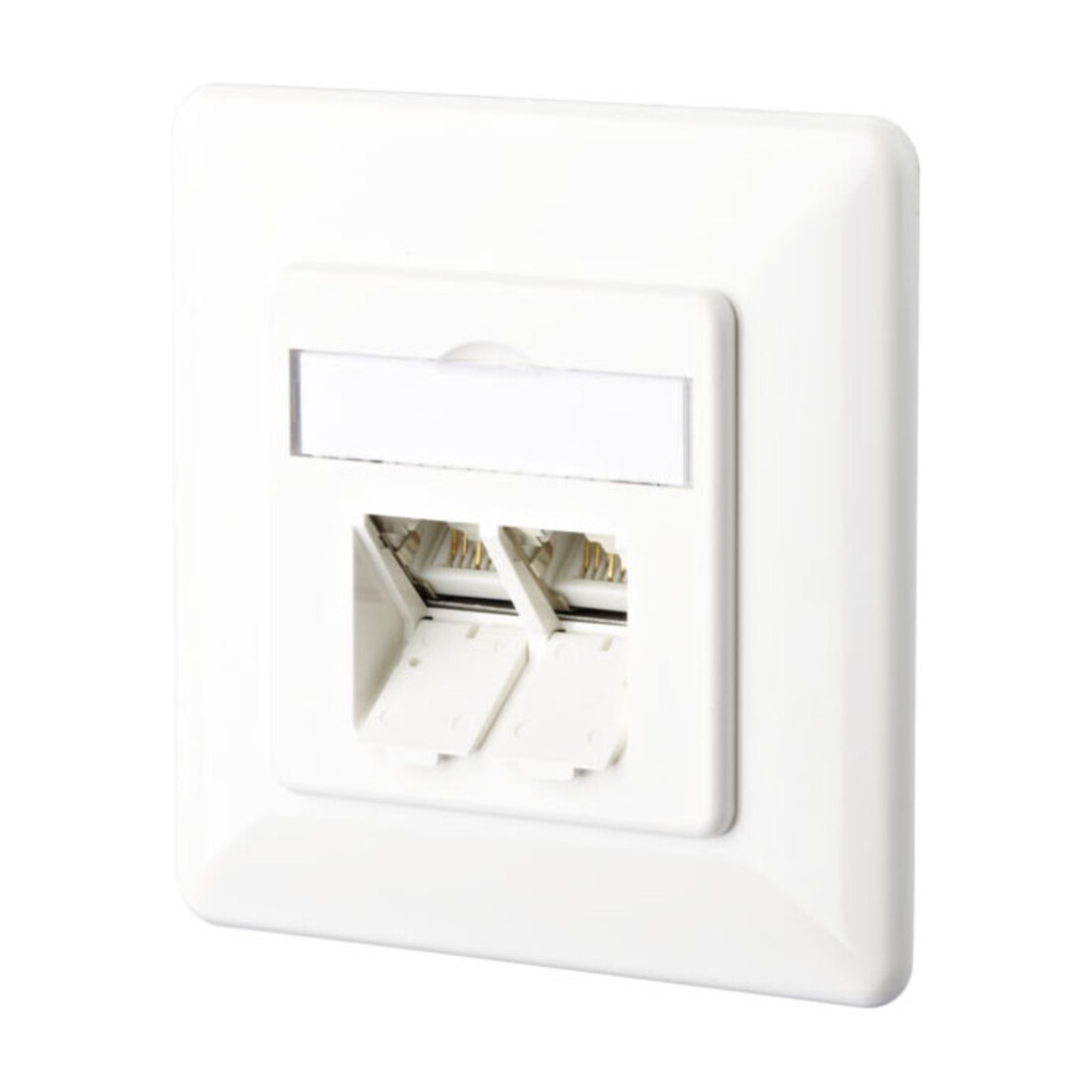 BTR NETCOM Boîte de connexion C6A encastrée 2xRJ45, encastrée, blanc TN EDATC6A-2UP-rws