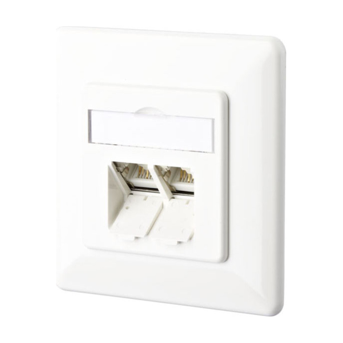 BTR NETCOM Boîte de connexion C6A encastrée 2xRJ45, encastrée, blanc TN EDATC6A-2UP-rws