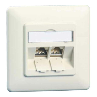 BTR NETCOM Boîte de connexion C6A module encastré 2 ports 180°, blanc TN C6Amod-2UP-180rw