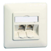 BTR NETCOM Boîte de connexion C6A module encastré 2 ports 180°, blanc TN C6Amod-2UP-180rw-1