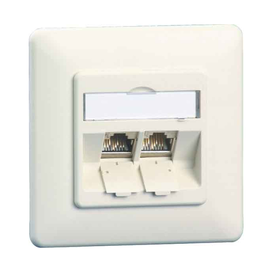 BTR NETCOM Boîte de connexion C6A module encastré 2 ports 180°, blanc TN C6Amod-2UP-180rw