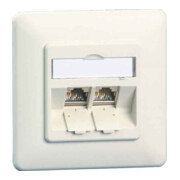 BTR NETCOM Boîte de connexion C6A module encastré 2 ports 180°, blanc TN C6Amod-2UP-180rw-2