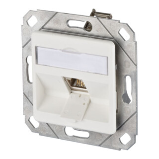 BTR NETCOM Boîte de connexion, Cat.6A 1xRJ45, emballage individuel, gris TN E-DATmod-1Upk-rws