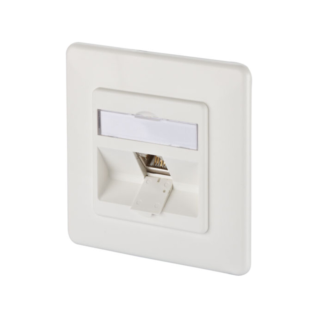 BTR NETCOM Boîte de connexion, Cat.6A 1xRJ45, UP, blanc TN E-DATmod-1UP-rws