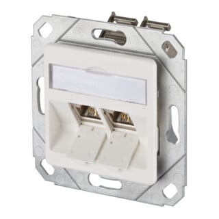 BTR NETCOM Boîte de connexion, Cat.6A 2xRJ45, emballage individuel, gris clair TN E-DATmod-2Upk-rws