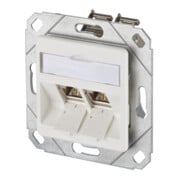 BTR NETCOM Boîte de connexion, Cat.6A 2xRJ45, emballage individuel, gris clair TN E-DATmod-2Upk-rws-1