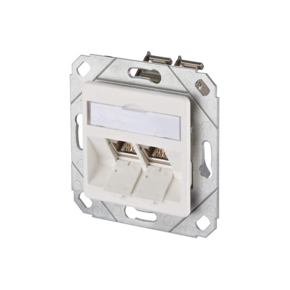 BTR NETCOM Boîte de connexion, Cat.6A 2xRJ45, emballage individuel, gris clair TN E-DATmod-2Upk-rws