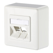 BTR NETCOM Boîte de connexion E-DAT module 8/8(8) AP 1309150002-E gris clair-1