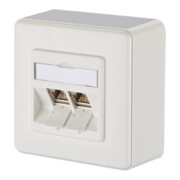 BTR NETCOM Boîte de raccordement, Cat.6A 2xRJ45, AP, blanc gris TN E-DATmod-2AP-rws-1