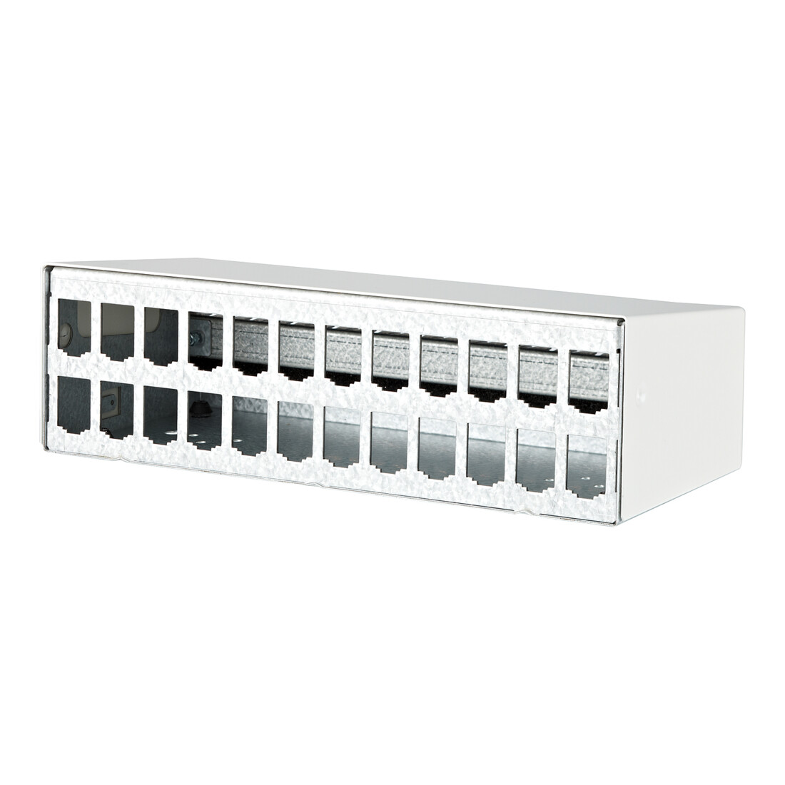 BTR NETCOM Boîtier AP 2x12 ports rws 130861-2402-E