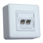 BTR NETCOM Boîtier de connexion C6A module AP 2 ports 180 AP, blanc mat TN C6Amod-2AP-180rw-1