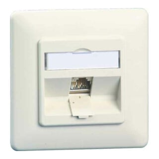 BTR NETCOM Boîtier de connexion C6A module encastré 1 port 270 UP, rws TN C6Amod-1UP-270rw
