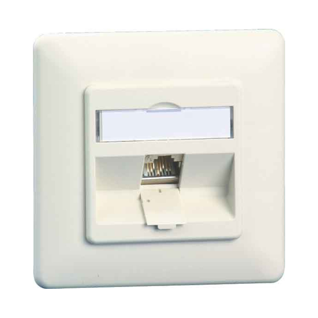 BTR NETCOM Boîtier de connexion C6A module encastré 1 port 270 UP, rws TN C6Amod-1UP-270rw