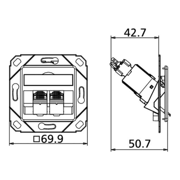 BTR NETCOM Boîtier de connexion C6A module Upk 2 ports 180 Upk, rws TN C6Amod-2UPk-180rw