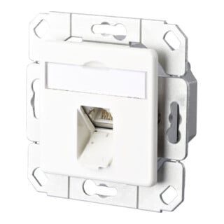 BTR NETCOM Boîtier de connexion C6A Upk 1xRJ45, Upk, rws TN EDATC6A-1UPk-rws