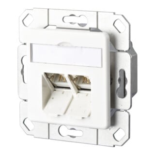 BTR NETCOM Boîtier de connexion C6A Upk 2xRJ45, Upk, rws TN EDATC6A-2UPk-rws