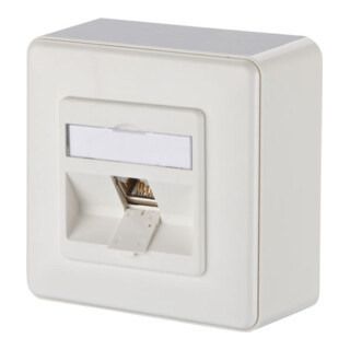BTR NETCOM Boîtier de connexion, Cat.6A 1xRJ45, en saillie, blanc TN E-DATmod-1AP-rws