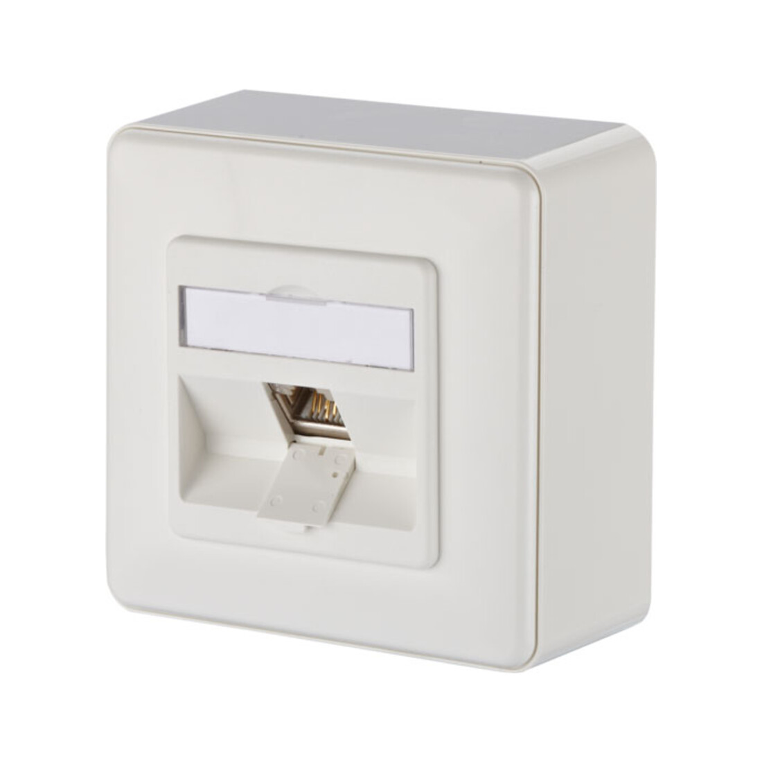 BTR NETCOM Boîtier de connexion, Cat.6A 1xRJ45, en saillie, blanc TN E-DATmod-1AP-rws