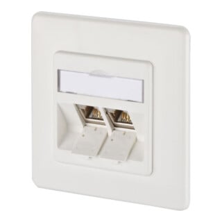 BTR NETCOM Boîtier de connexion, Cat.6A 2xRJ45, UP, blanc TN E-DATmod-2UP-rws