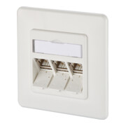 BTR NETCOM Boîtier de connexion E-DAT module 3x8(8) encastré 1309131002-E rws-1