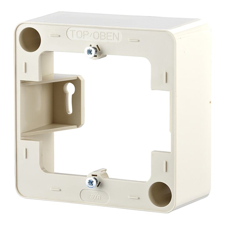 BTR NETCOM Cadre AP 130829-01-I pws