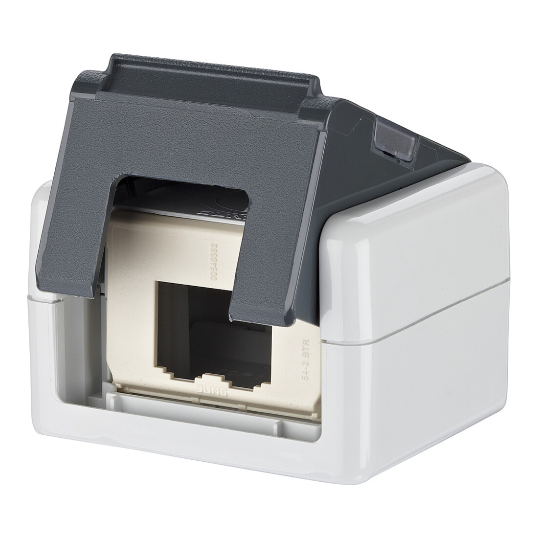 BTR NETCOM IP20 AP-Dose leer gr EDATmodul 1309450003-E
