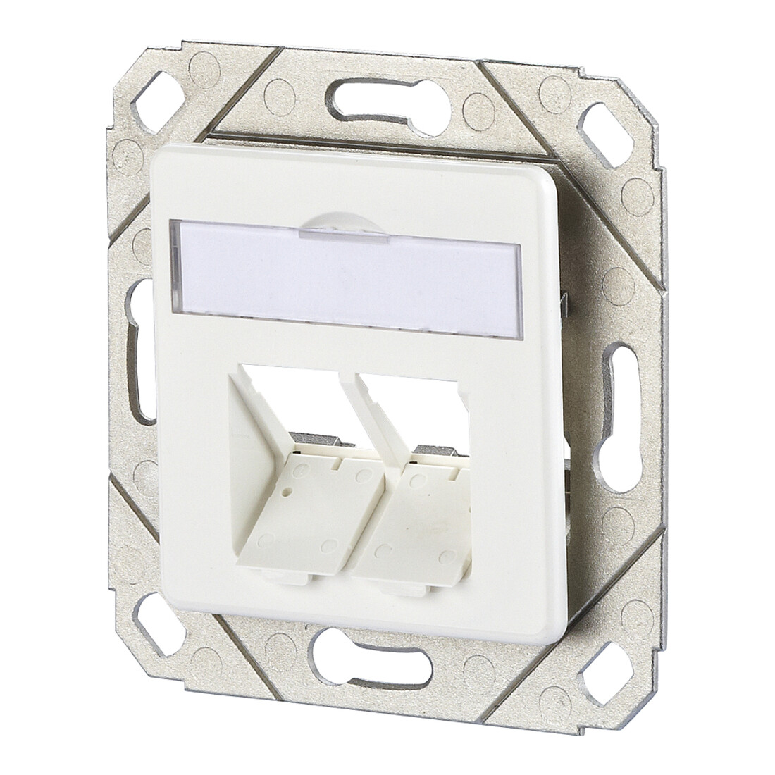 BTR NETCOM Keystone Dose UPk 2Port leer rws 130B20D21102KE