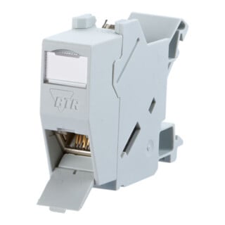BTR NETCOM Module rail DIN, Cat.6 1xRJ45, incl. module TN E-DATmod-REG-lgr