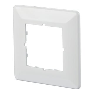 BTR NETCOM Plaque de recouvrement simple 80×80 816718-0102-I rws