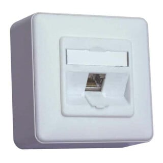 BTR NETCOM Prise de connexion C6A module AP 1 port 180 AP, blanc mat TN C6Amod-1AP-180rw
