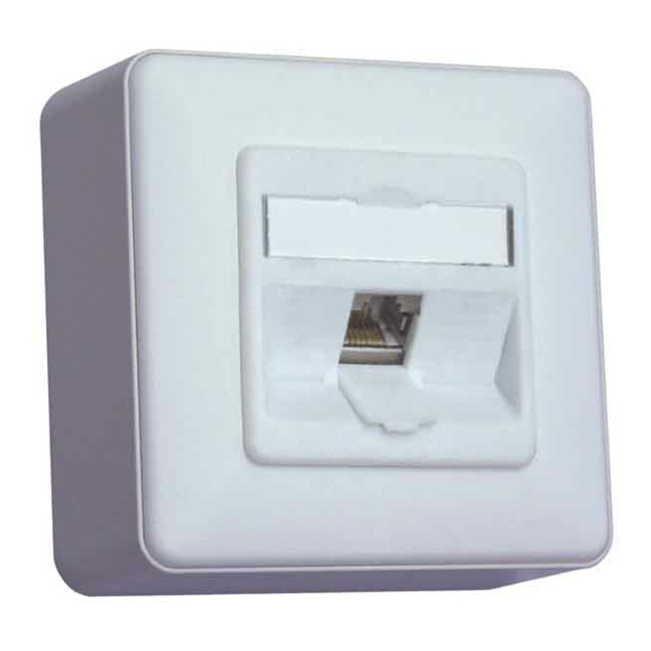 BTR NETCOM Prise de connexion C6A module AP 1 port 180 AP, blanc mat TN C6Amod-1AP-180rw