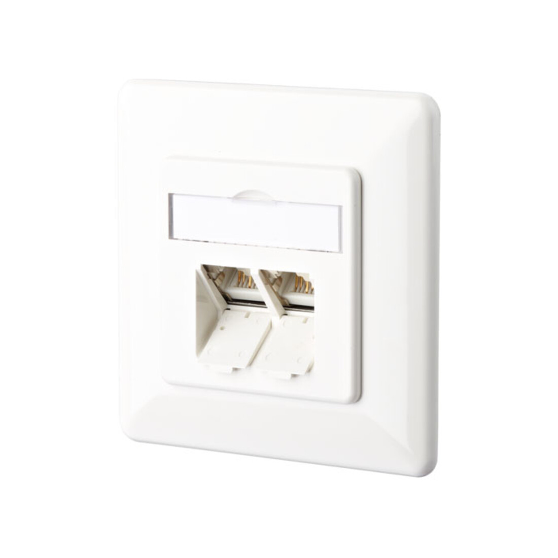 BTR NETCOM Prise de connexion, Cat.6 2xRJ45, encastrée, blanc TN E-DATC6-2UP-rws