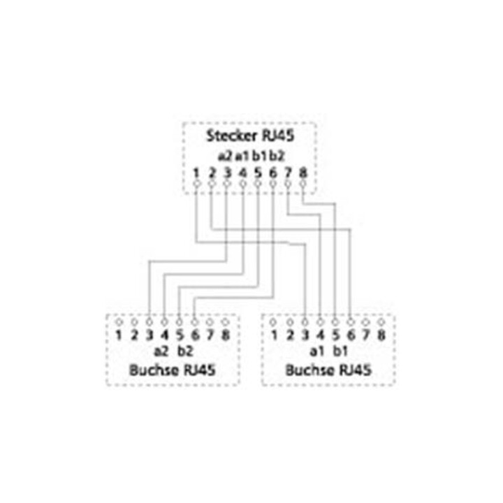 BTR NETCOM UAE-Adapter WE8-WE8(4)WE(4) 0,1m