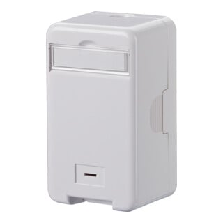 BTR NETCOM Unité de connexion AP Keystone 1x8AP FMRWoM 1309140002KE
