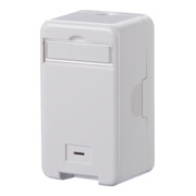 BTR NETCOM Unité de connexion AP Keystone 1x8AP FMRWoM 1309140002KE-1