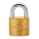 Cadenas Burg-Wächter C-Line-1