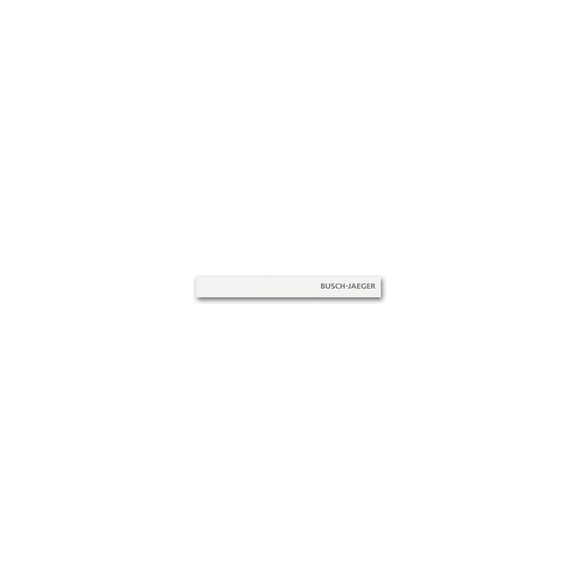 Busch-Jaeger Abschlussleiste unten Standard m.Kennz. 6349-24G-101