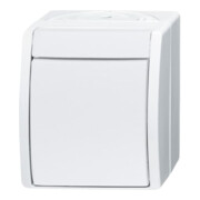 Busch-Jaeger Ausschalter 2601/2 W-54-2