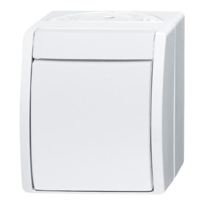 Busch-Jaeger Ausschalter 2601/2 W-54