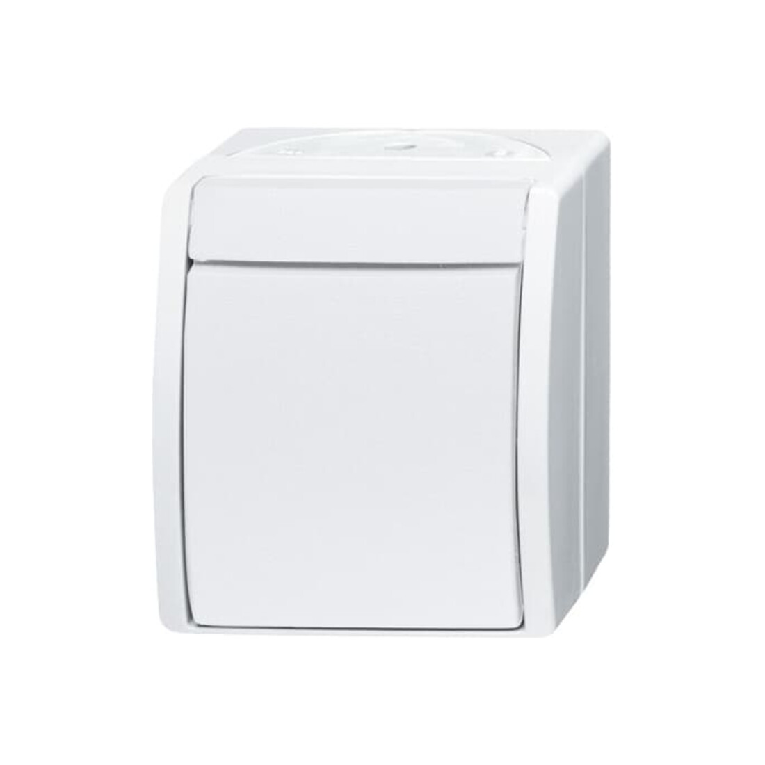 Busch-Jaeger Ausschalter 2601/2 W-54
