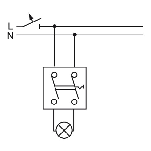 Busch-Jaeger Ausschalter-Einsatz 2polig 2000/2 US-101