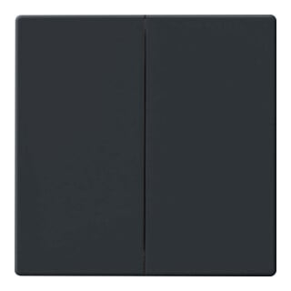 Busch-Jaeger Bascule anthracite pour télécommande 6736 FoH-81