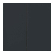 Busch-Jaeger Bascule anthracite pour télécommande 6736 FoH-81-1