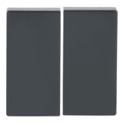 Busch-Jaeger Bascule anthracite pour télécommande 6736 FoH-81-3
