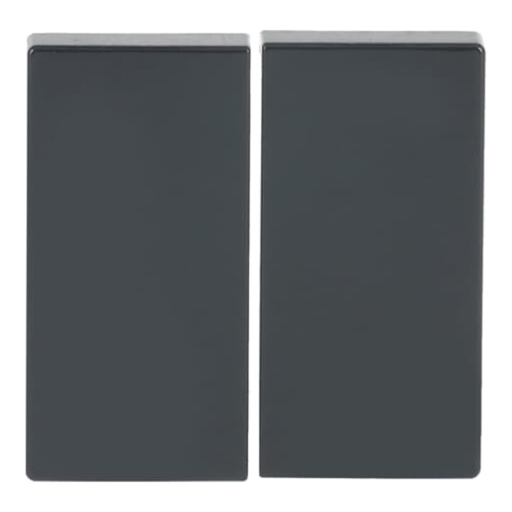 Busch-Jaeger Bascule anthracite pour télécommande 6736 FoH-81