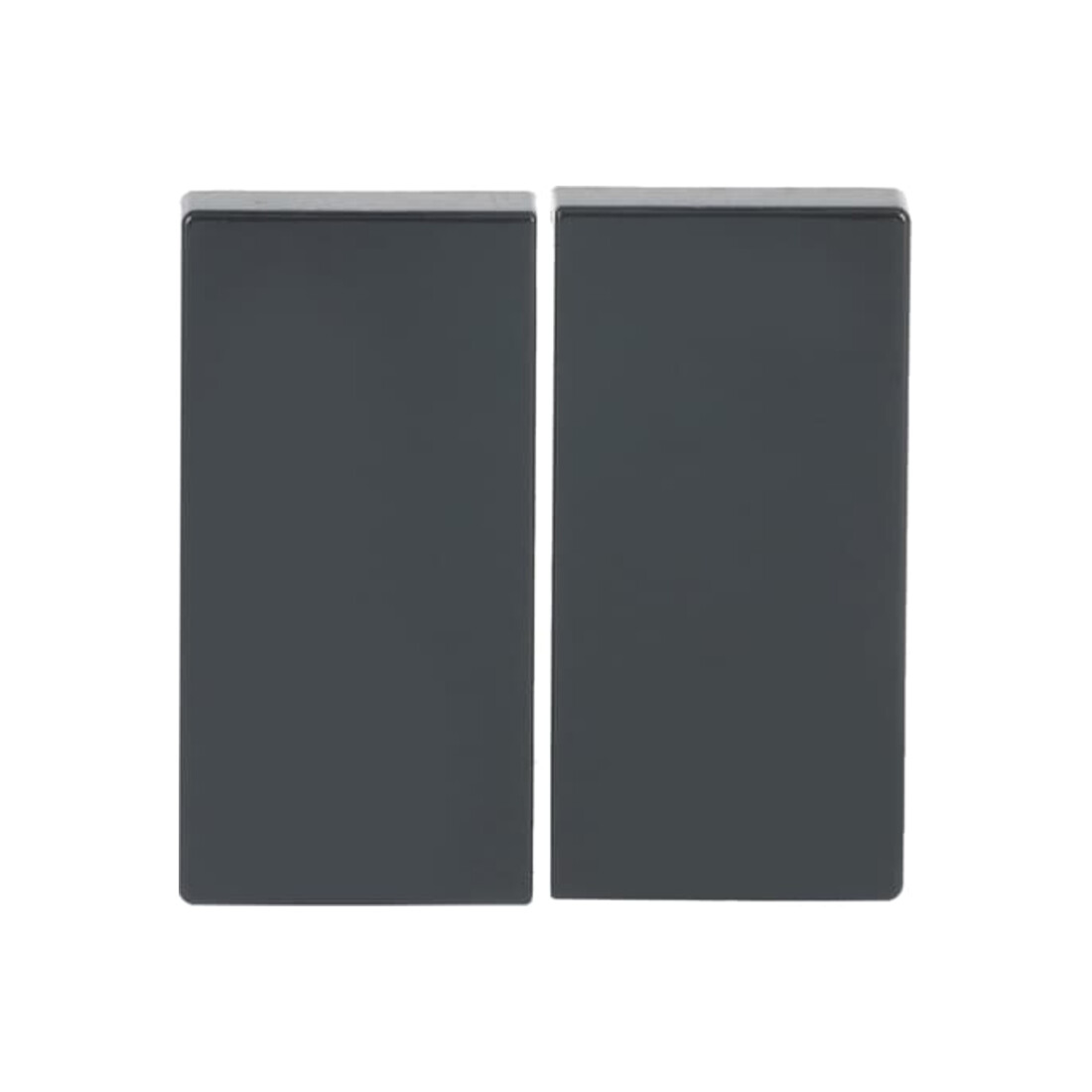 Busch-Jaeger Bascule anthracite pour télécommande 6736 FoH-81