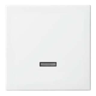 Busch-Jaeger Bedienelement Dimmer alpinweiß 6543-914-102