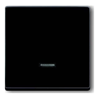 Busch-Jaeger Bedienelement Mem-Tast. 6543-81-101